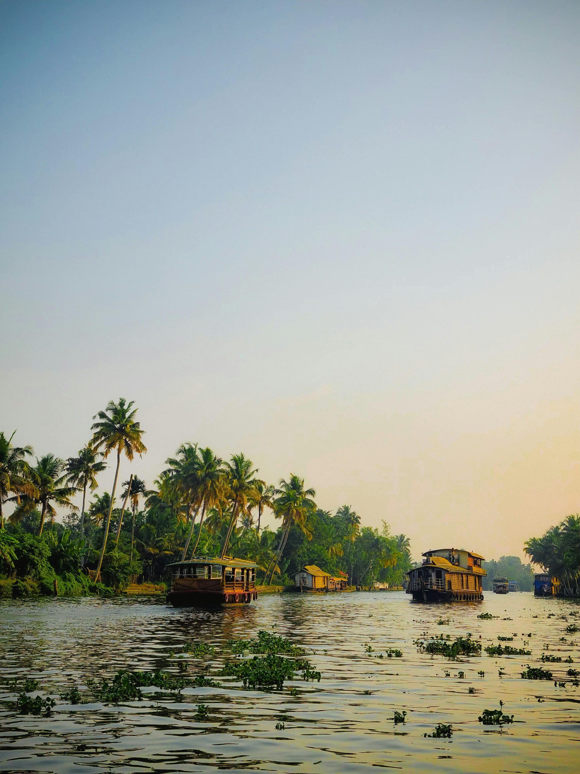 Family Tour Packages