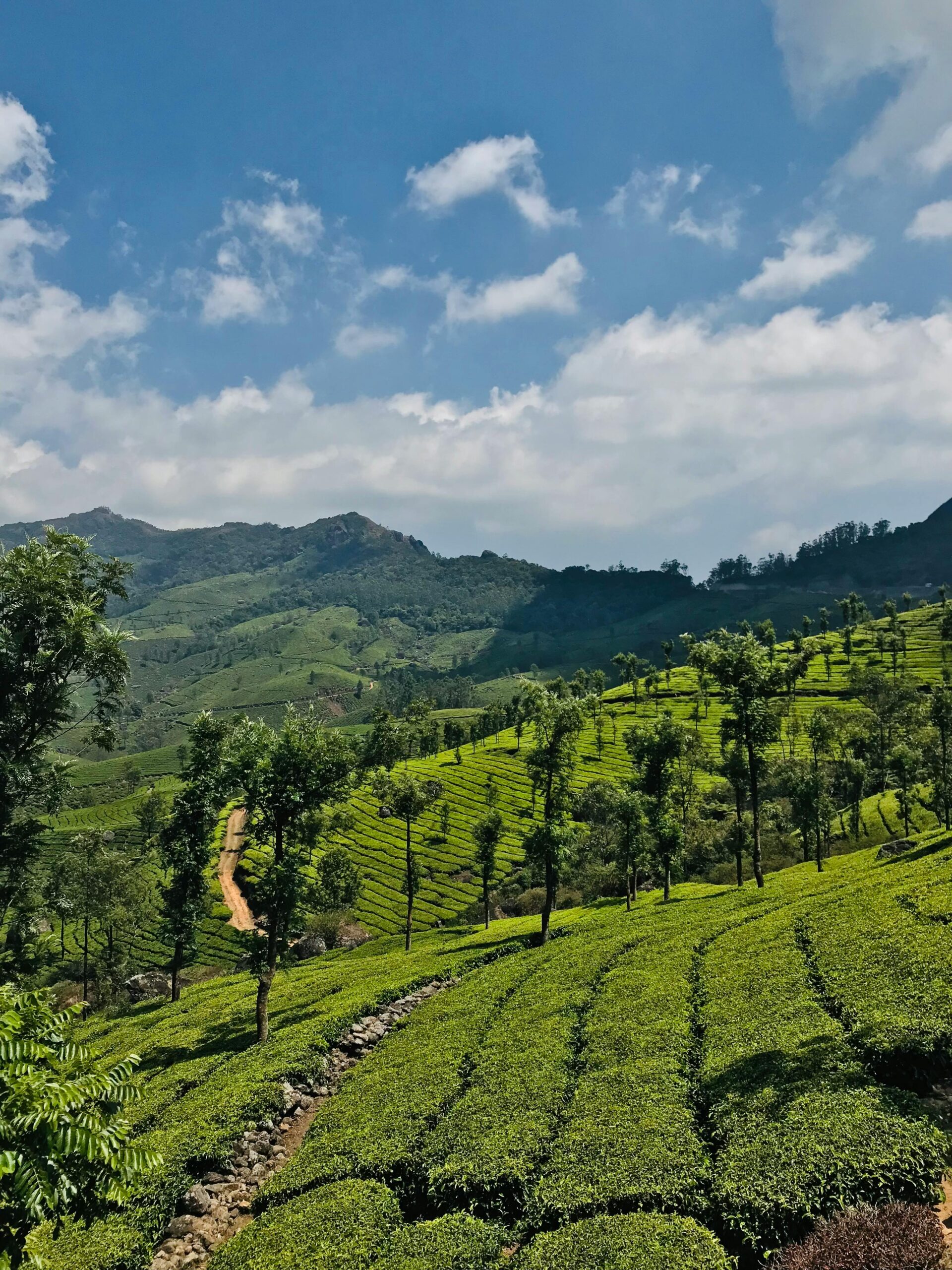Kerala Tour Package: 5-nights, 6-days