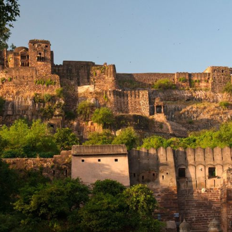 Ancient Ranthambore Fort ruins located deep inside the tiger reserve forest