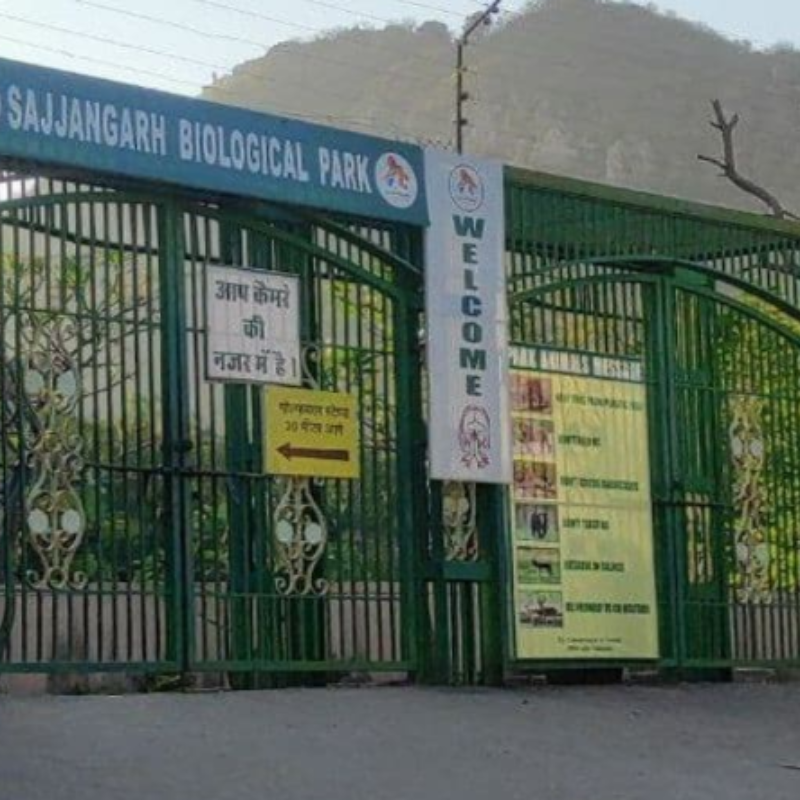 Diverse fauna and enclosures at Sajjangarh Biological Park Udaipur