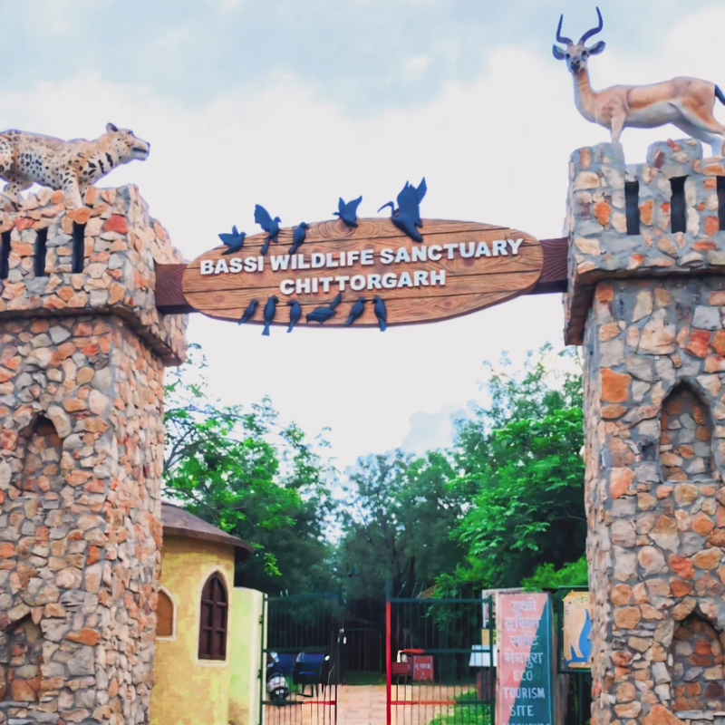 Trekking trails and panthers at Bassi Wildlife Sanctuary near Chittorgarh