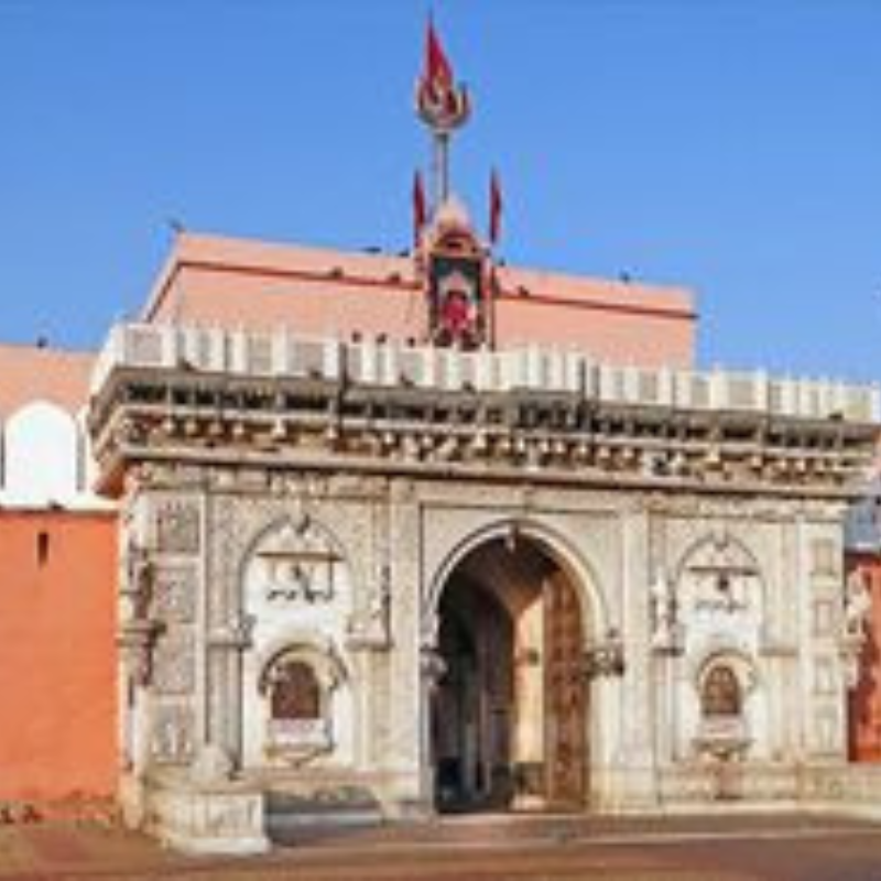 Thousands of sacred protected rats inside the Karni Mata Temple in Deshnoke