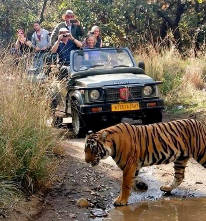 Ranthambore National Park
