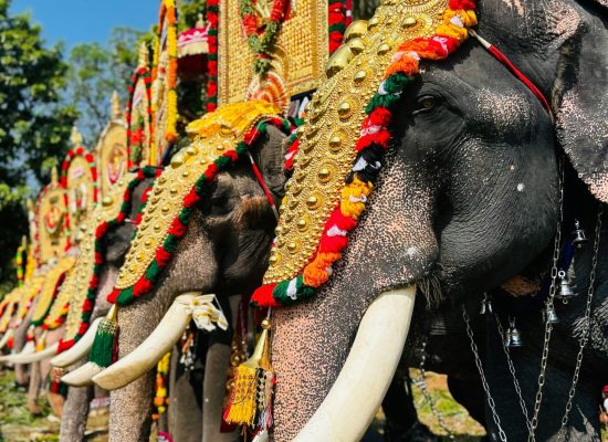 pexels-sanjayshaiju-1725908267-27961723